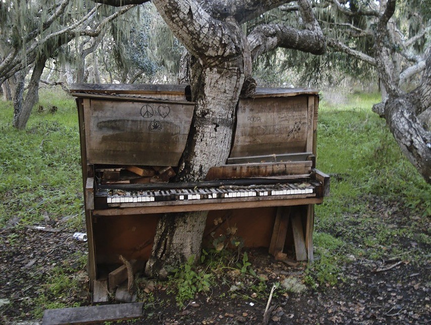 Piano preprastené stromom